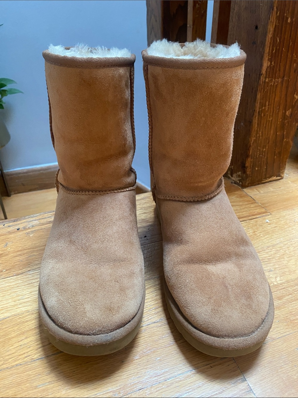 UGG Classic Short Boots - Chestnut Suede